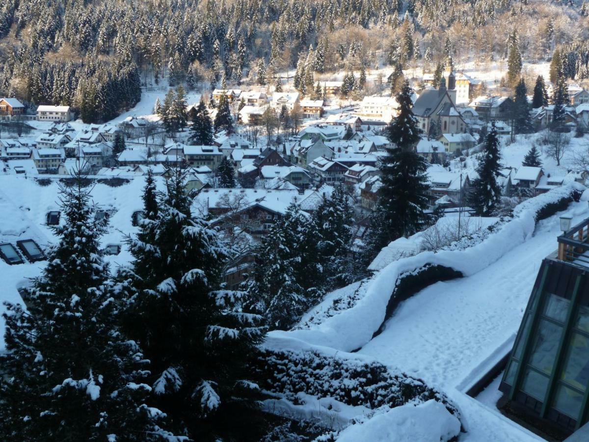 Апартаменти Haus Dachsberg Тодтмос Екстер'єр фото