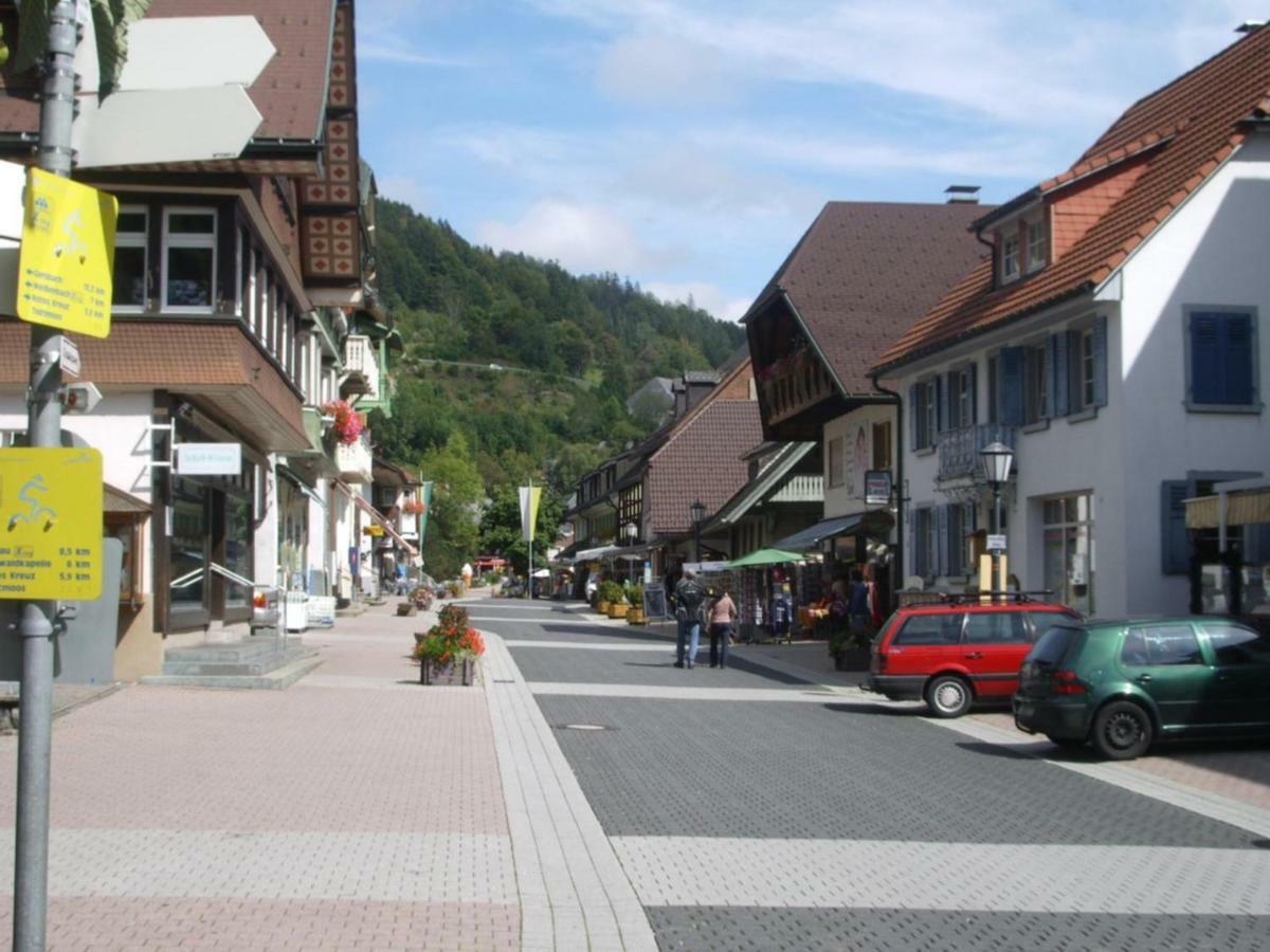 Апартаменти Haus Dachsberg Тодтмос Екстер'єр фото