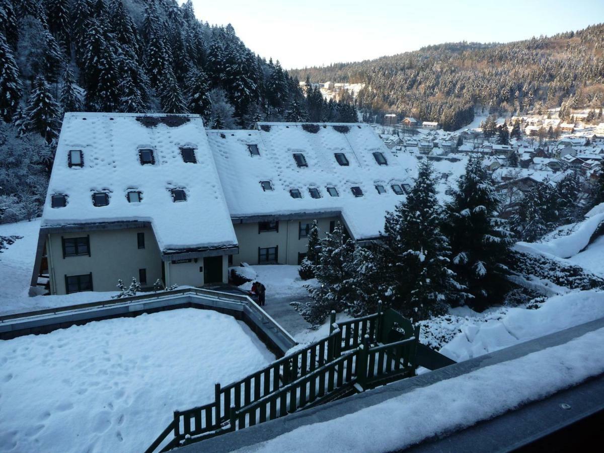 Апартаменти Haus Dachsberg Тодтмос Екстер'єр фото